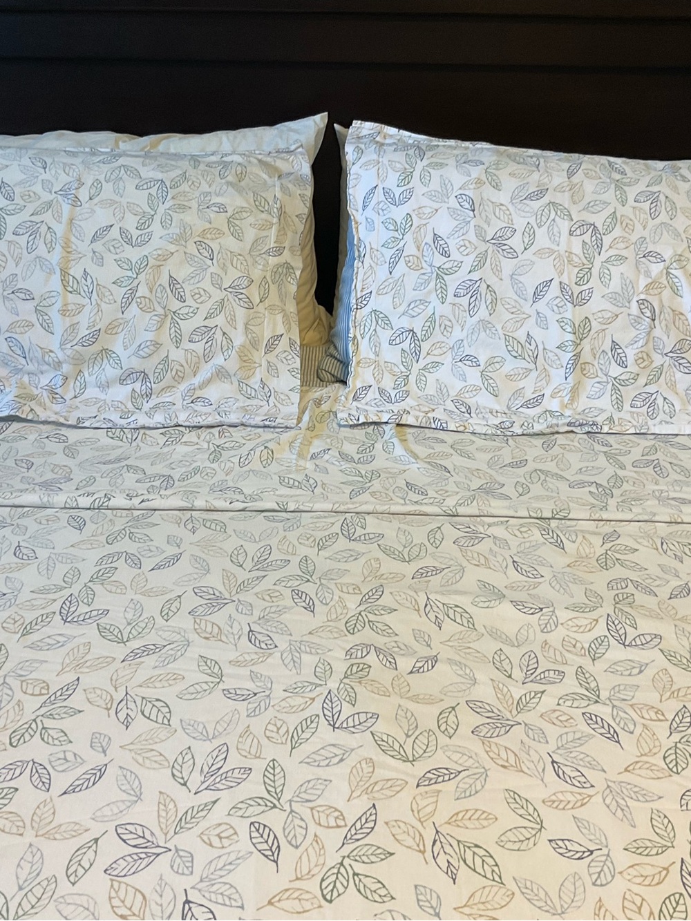 L.L. Bean Duvet Cover & Shams (Queen)